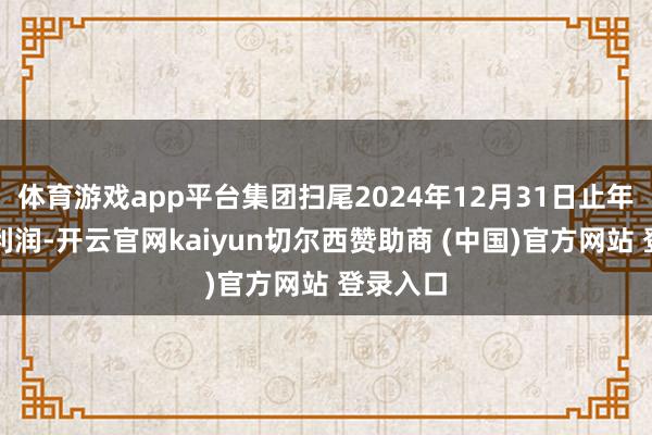 体育游戏app平台集团扫尾2024年12月31日止年度的净利润-开云官网kaiyun切尔西赞助商 (中国)官方网站 登录入口