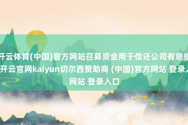 开云体育(中国)官方网站召募资金用于偿还公司有息债务-开云官网kaiyun切尔西赞助商 (中国)官方网站 登录入口