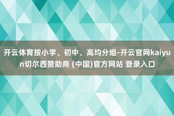 开云体育按小学、初中、高均分组-开云官网kaiyun切尔西赞助商 (中国)官方网站 登录入口