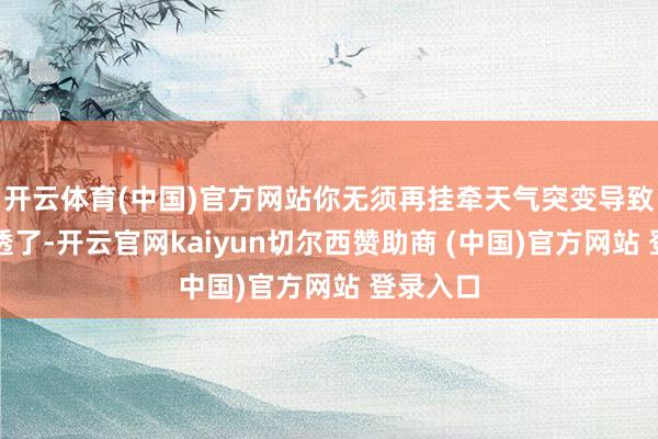 开云体育(中国)官方网站你无须再挂牵天气突变导致全身湿透了-开云官网kaiyun切尔西赞助商 (中国)官方网站 登录入口