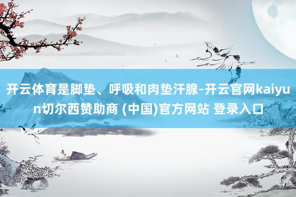 开云体育是脚垫、呼吸和肉垫汗腺-开云官网kaiyun切尔西赞助商 (中国)官方网站 登录入口