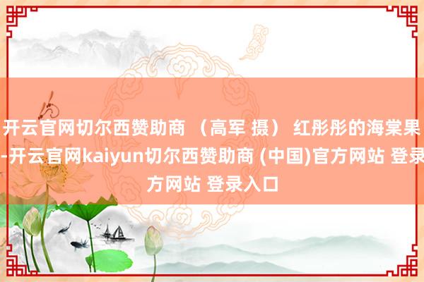 开云官网切尔西赞助商 （高军 摄） 红彤彤的海棠果熟了-开云官网kaiyun切尔西赞助商 (中国)官方网站 登录入口