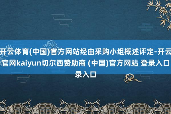 开云体育(中国)官方网站经由采购小组概述评定-开云官网kaiyun切尔西赞助商 (中国)官方网站 登录入口