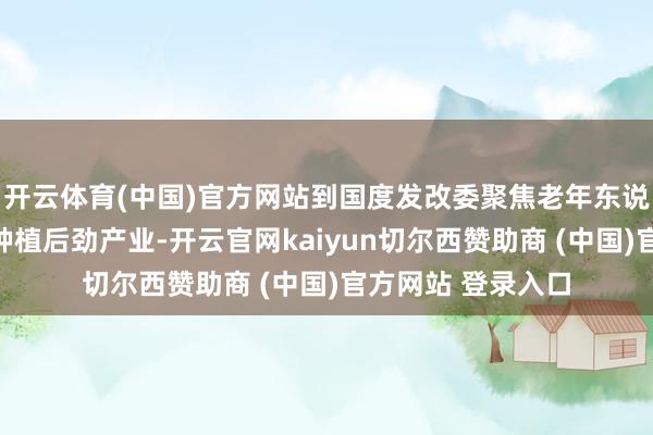 开云体育(中国)官方网站到国度发改委聚焦老年东说念主种种化需求种植后劲产业-开云官网kaiyun切尔西赞助商 (中国)官方网站 登录入口