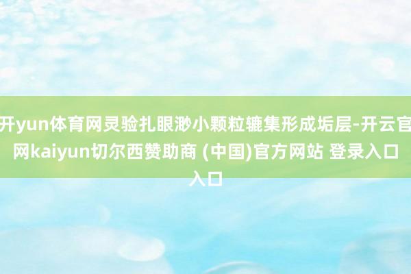 开yun体育网灵验扎眼渺小颗粒辘集形成垢层-开云官网kaiyun切尔西赞助商 (中国)官方网站 登录入口
